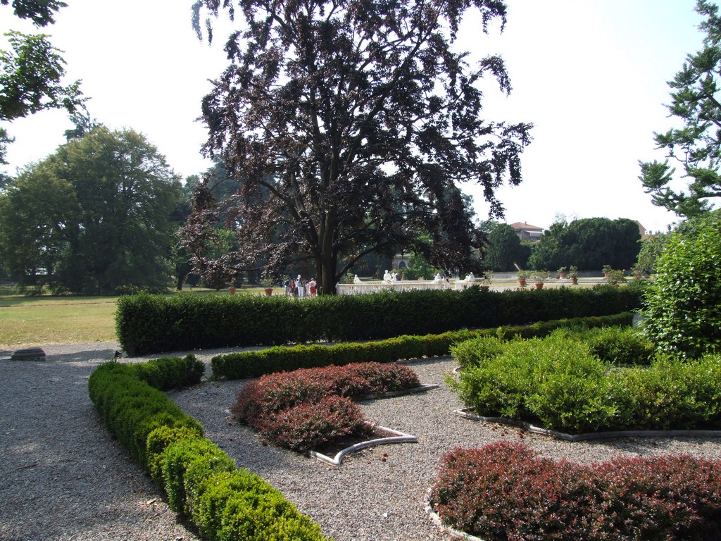 DSCF0631